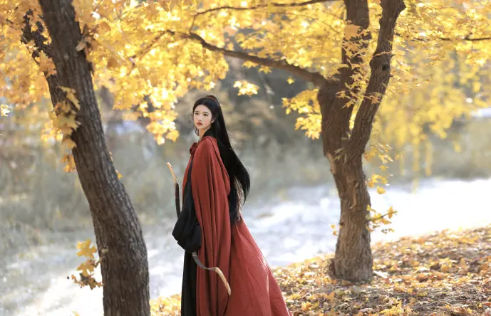 忍者之路下载游戏截图